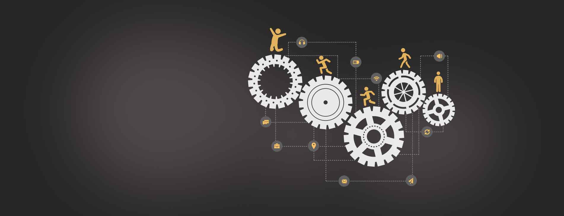 cerus global inccustom-software-development